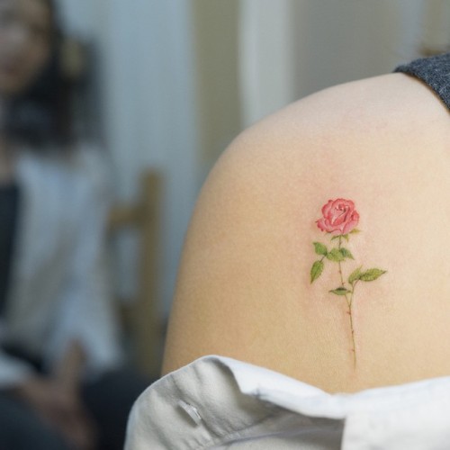 tatouage d'épaule de rose rouge